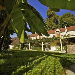 Deluxe Pavilion